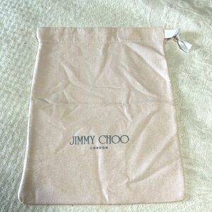 Jimmy Choo Shoe or Clutch bag